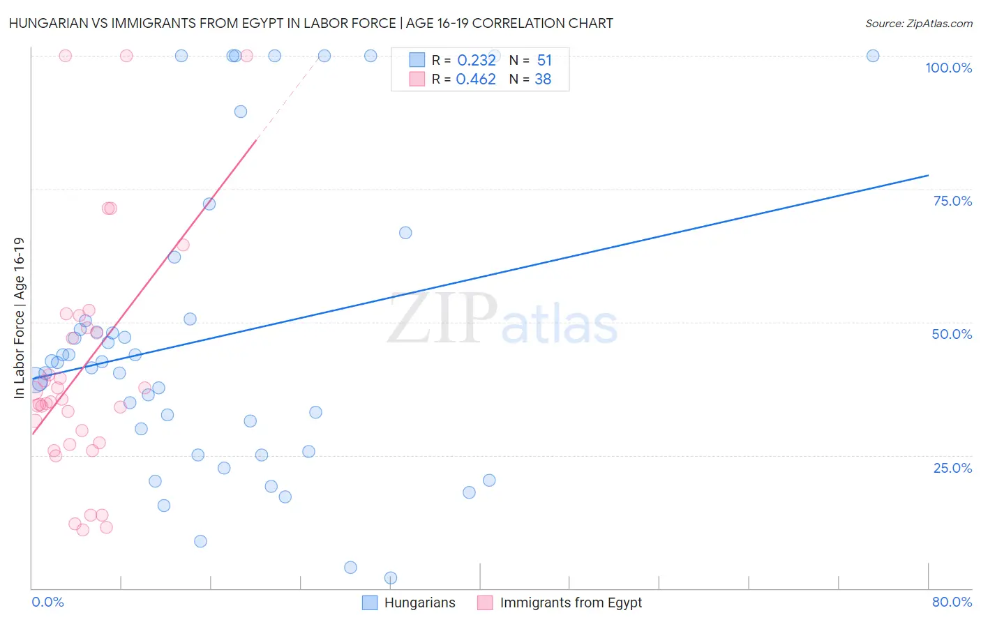 Hungarian vs Immigrants from Egypt In Labor Force | Age 16-19