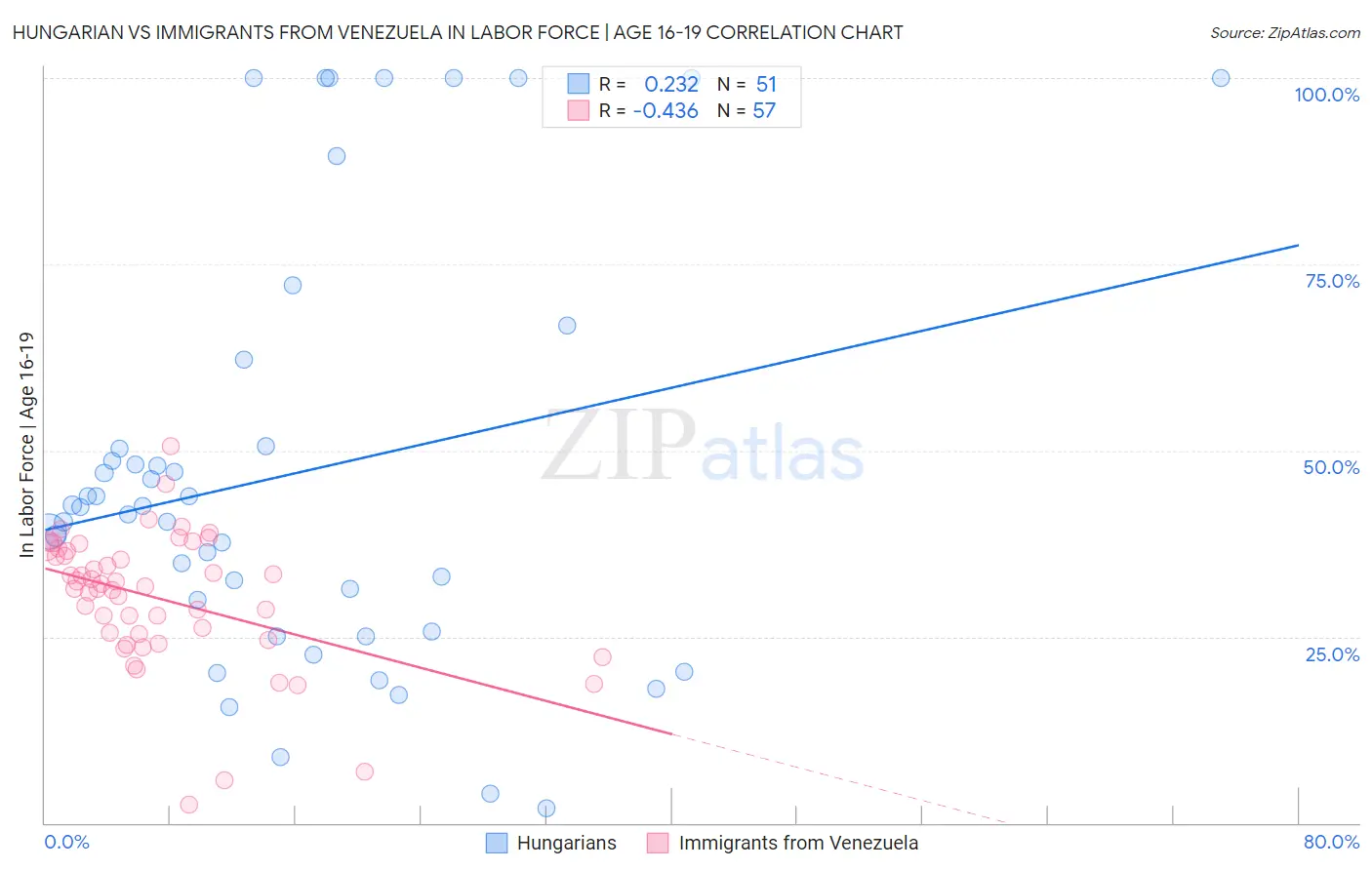 Hungarian vs Immigrants from Venezuela In Labor Force | Age 16-19