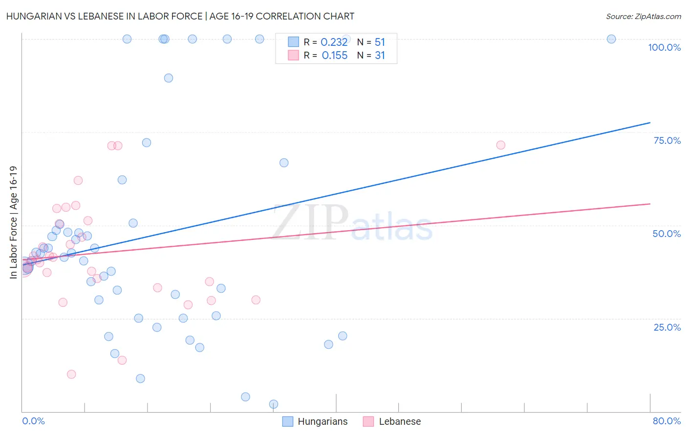 Hungarian vs Lebanese In Labor Force | Age 16-19