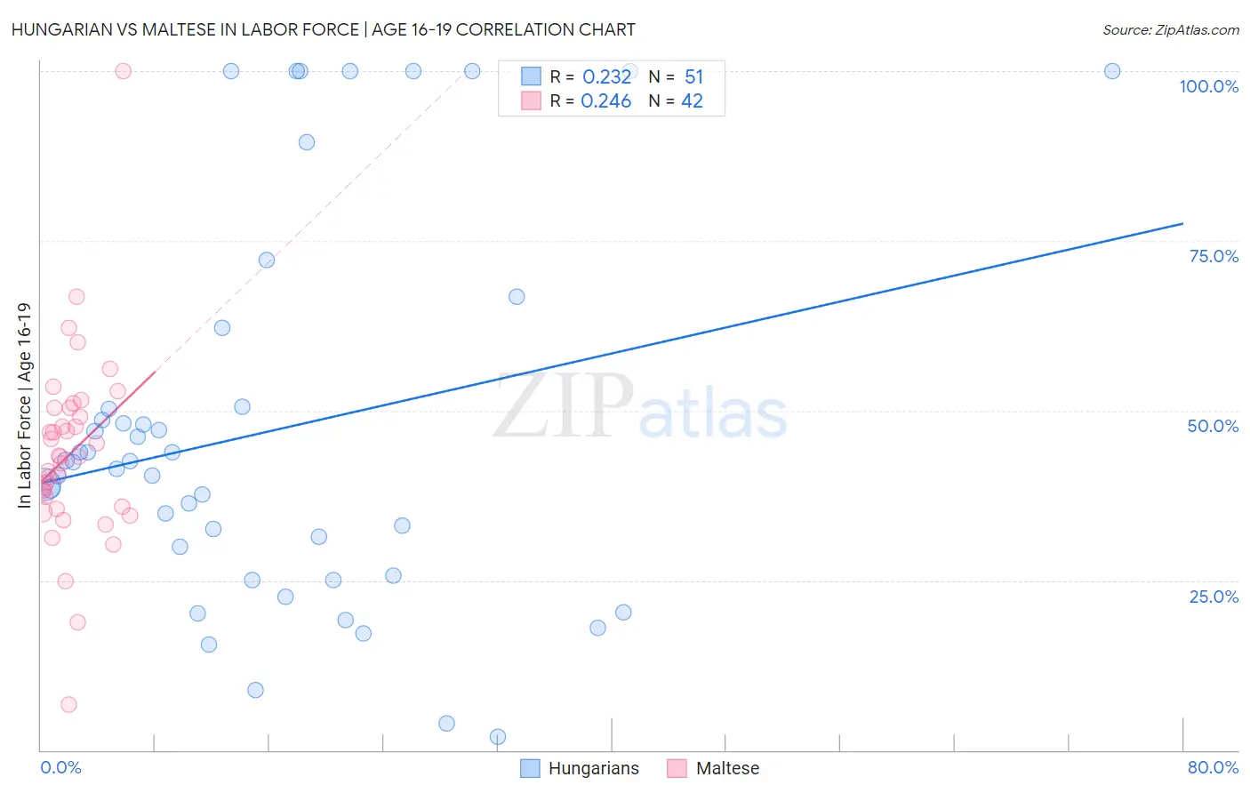 Hungarian vs Maltese In Labor Force | Age 16-19