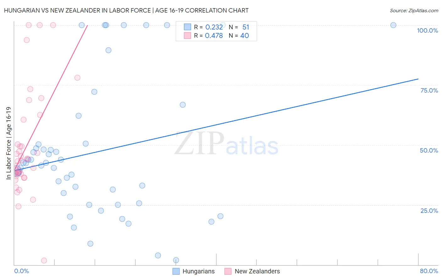 Hungarian vs New Zealander In Labor Force | Age 16-19