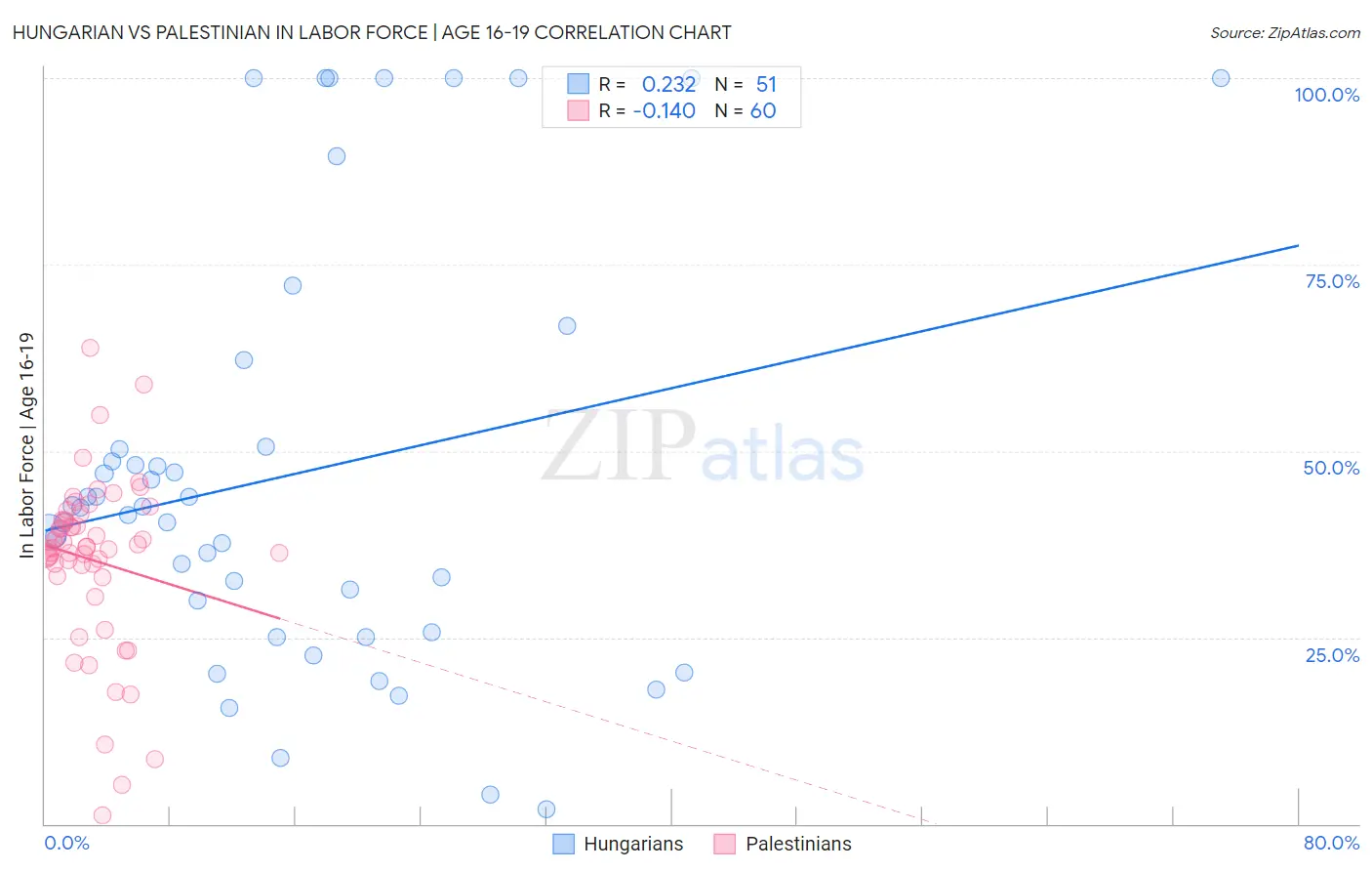 Hungarian vs Palestinian In Labor Force | Age 16-19