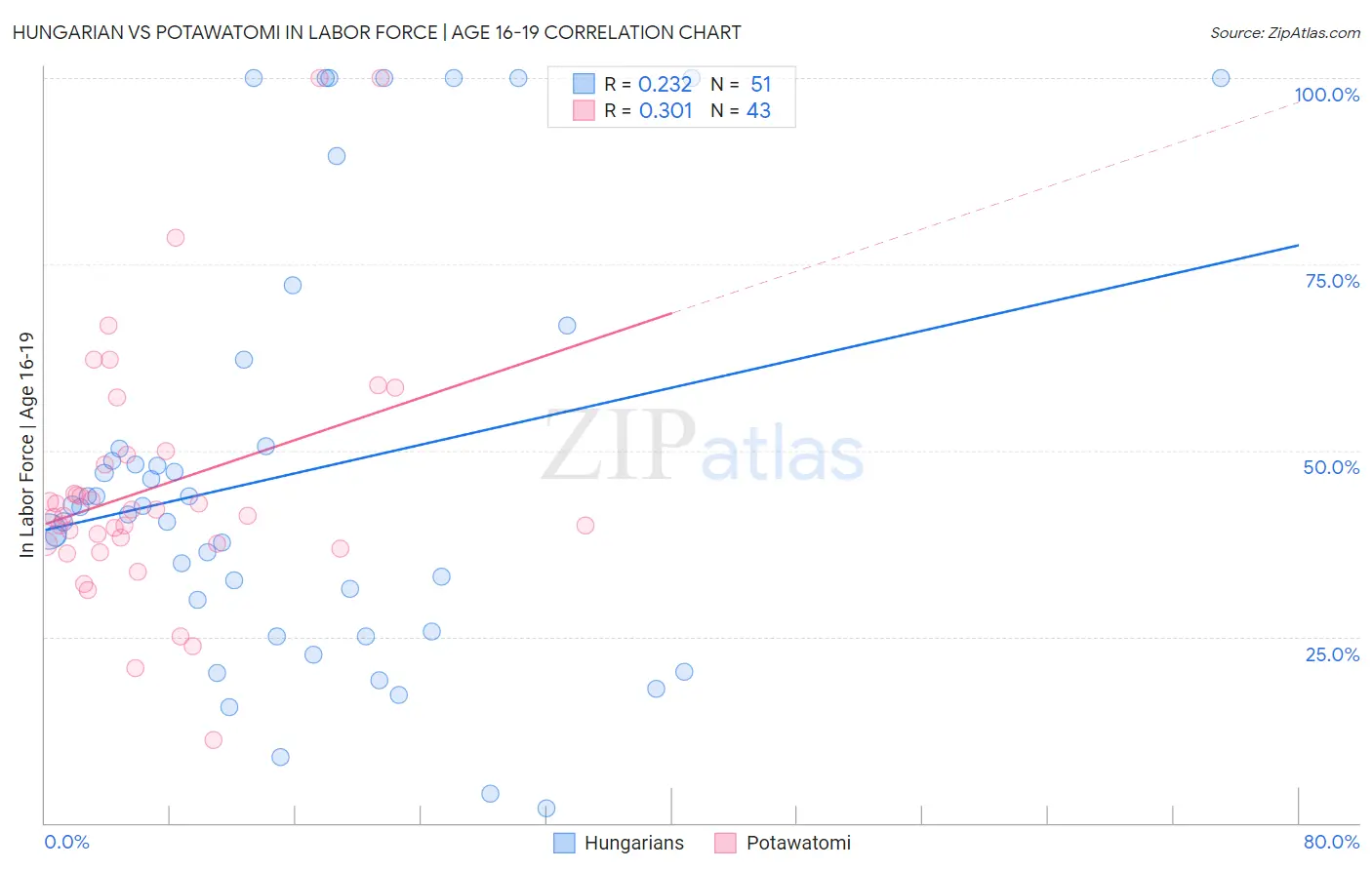 Hungarian vs Potawatomi In Labor Force | Age 16-19