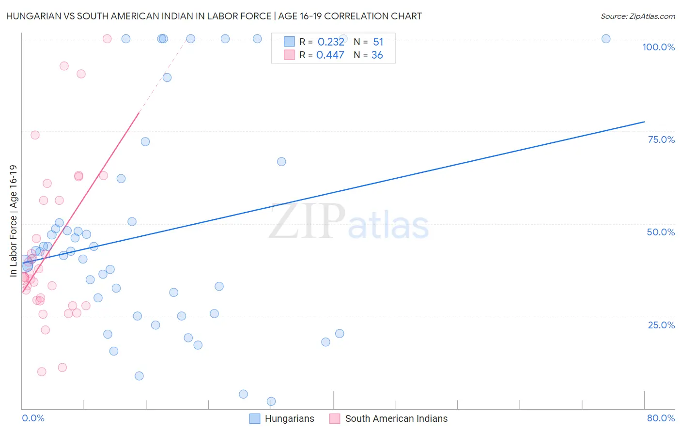 Hungarian vs South American Indian In Labor Force | Age 16-19