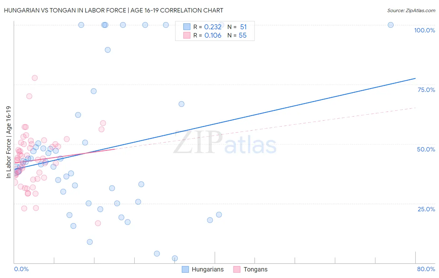 Hungarian vs Tongan In Labor Force | Age 16-19