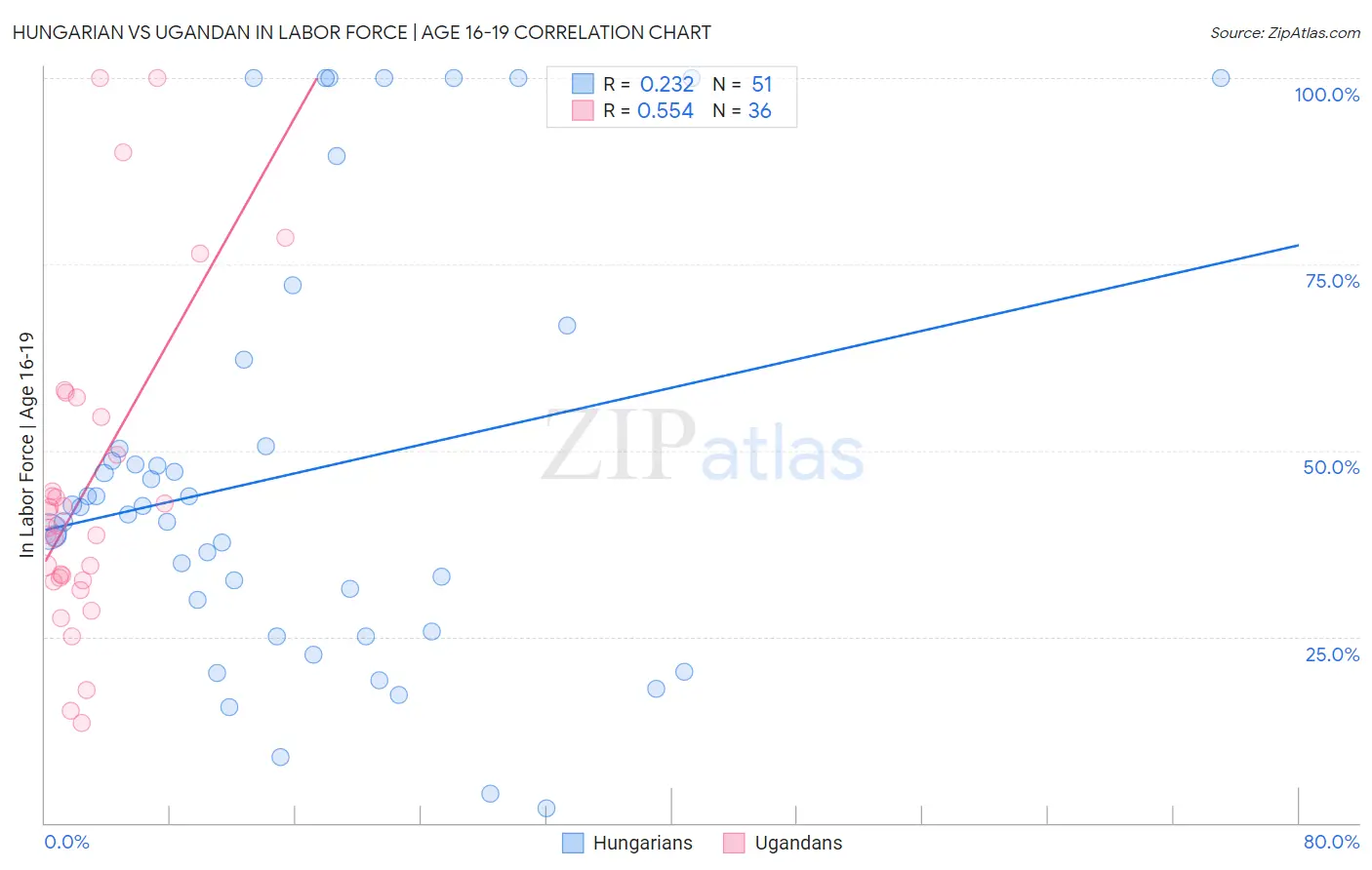 Hungarian vs Ugandan In Labor Force | Age 16-19