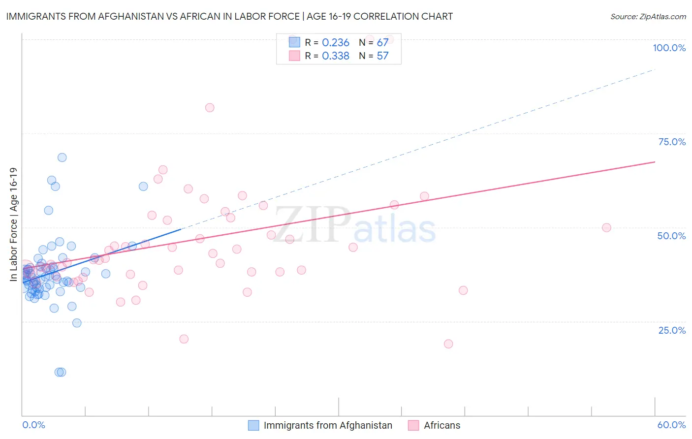 Immigrants from Afghanistan vs African In Labor Force | Age 16-19