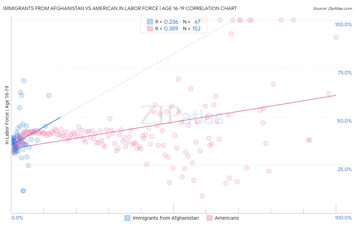 Immigrants from Afghanistan vs American In Labor Force | Age 16-19
