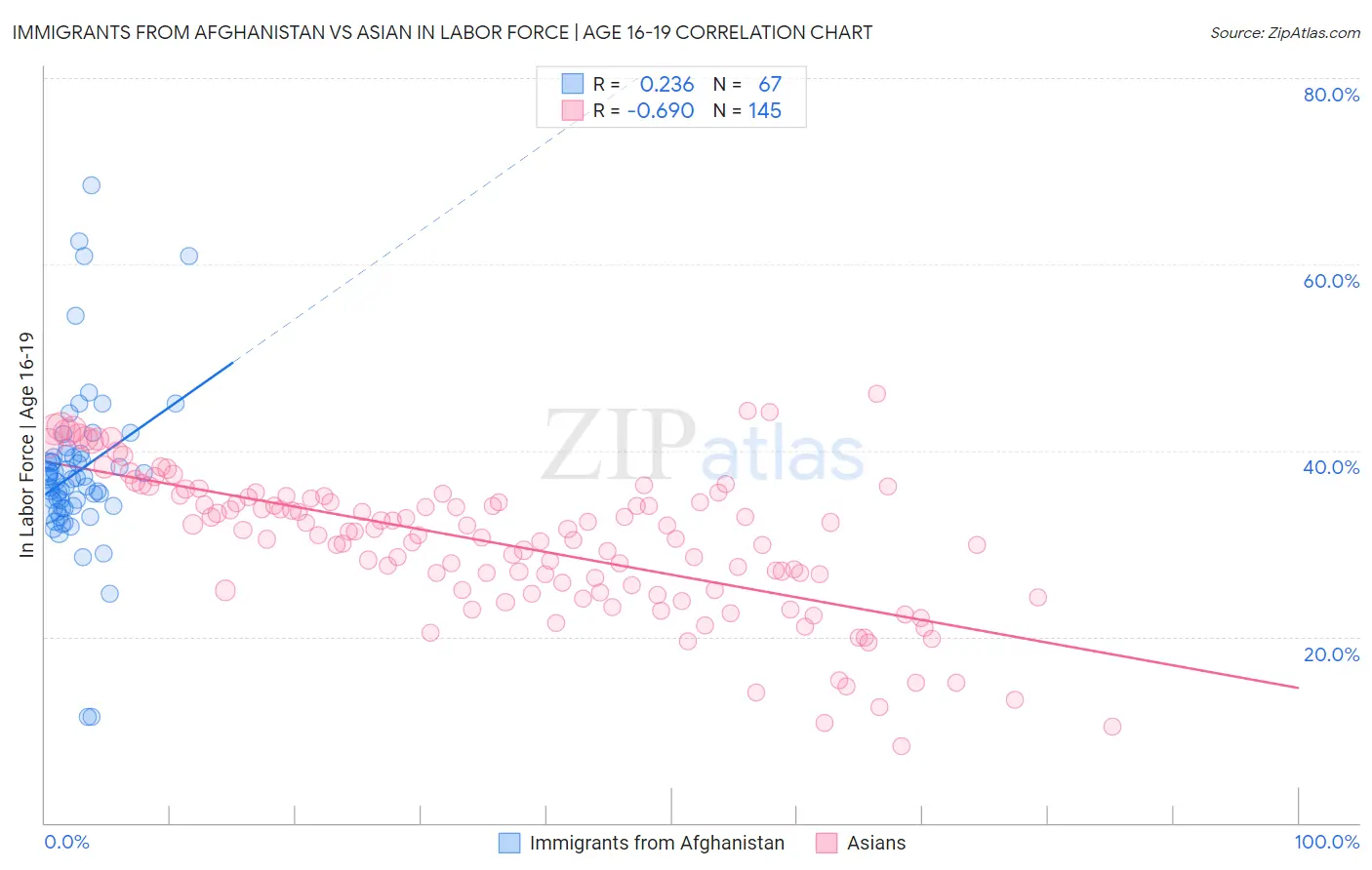 Immigrants from Afghanistan vs Asian In Labor Force | Age 16-19