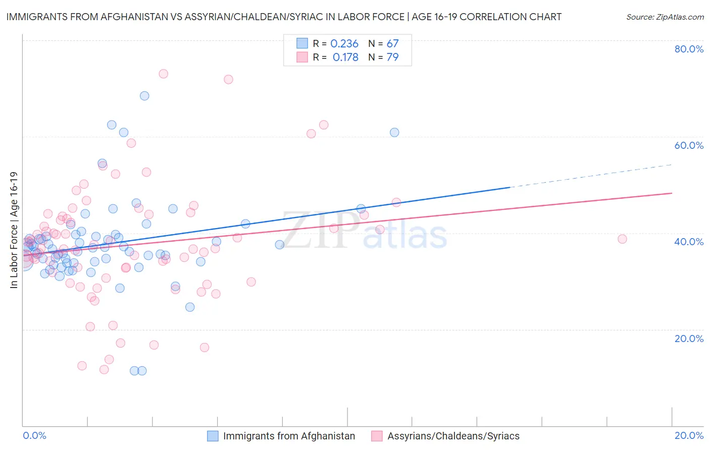 Immigrants from Afghanistan vs Assyrian/Chaldean/Syriac In Labor Force | Age 16-19