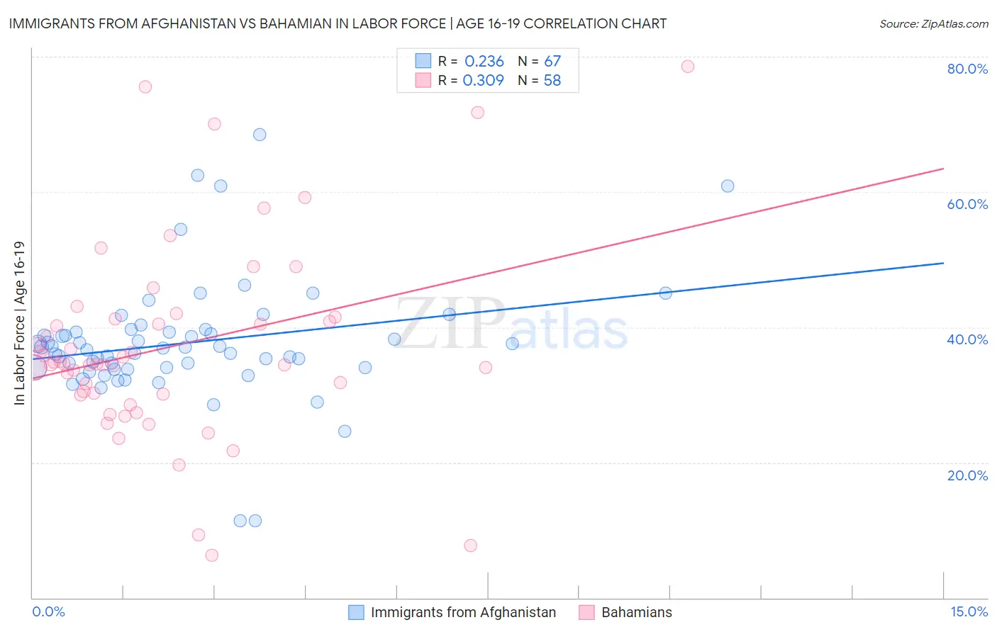 Immigrants from Afghanistan vs Bahamian In Labor Force | Age 16-19