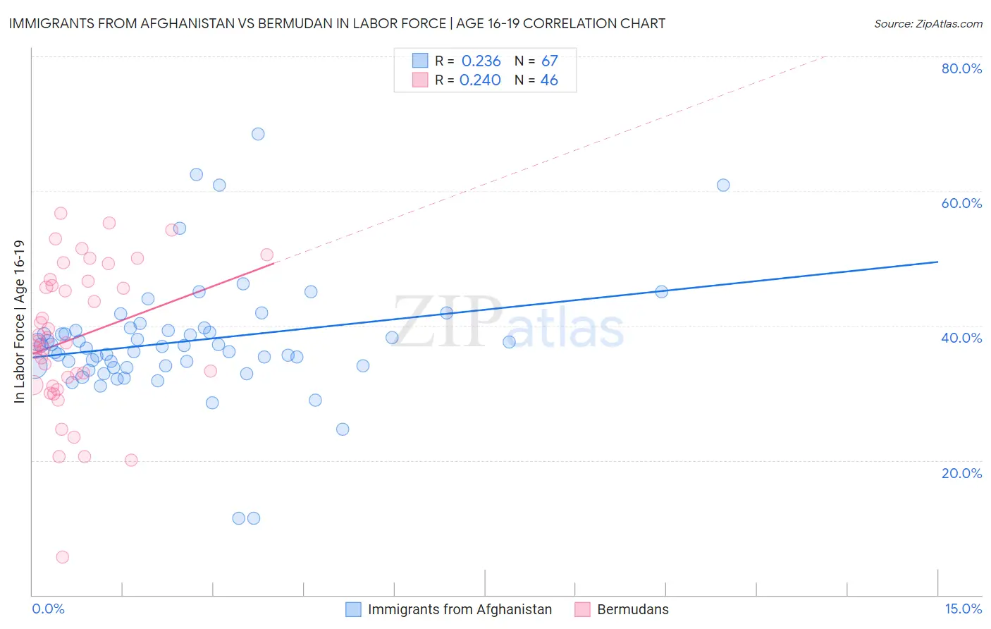 Immigrants from Afghanistan vs Bermudan In Labor Force | Age 16-19