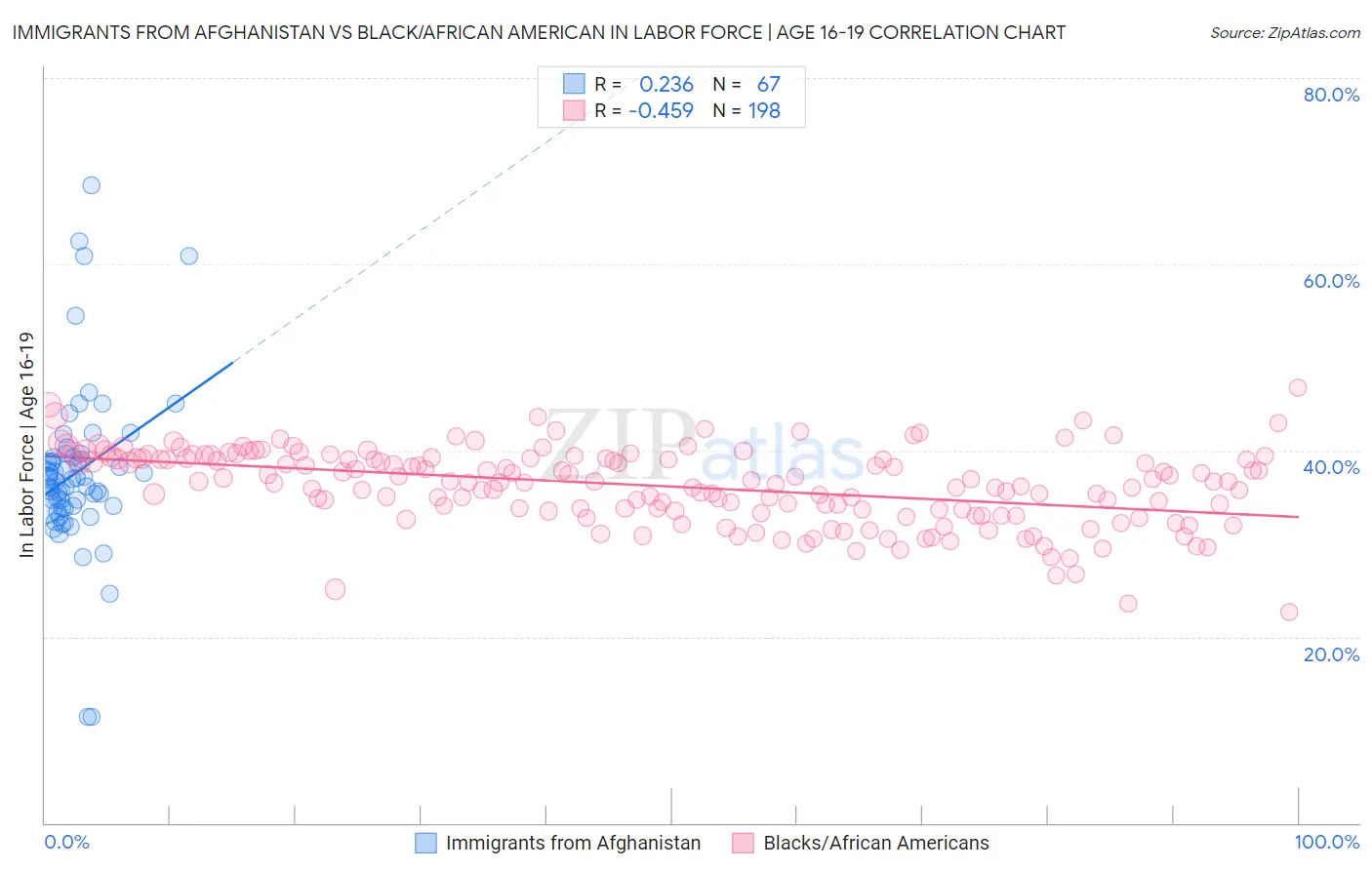 Immigrants from Afghanistan vs Black/African American In Labor Force | Age 16-19