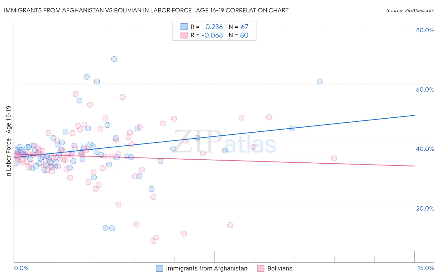 Immigrants from Afghanistan vs Bolivian In Labor Force | Age 16-19