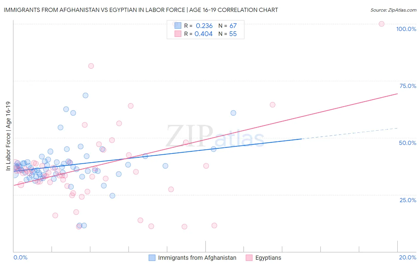 Immigrants from Afghanistan vs Egyptian In Labor Force | Age 16-19