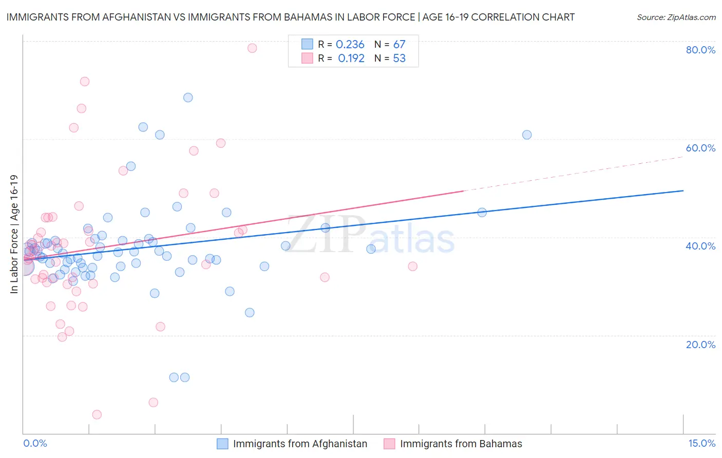 Immigrants from Afghanistan vs Immigrants from Bahamas In Labor Force | Age 16-19