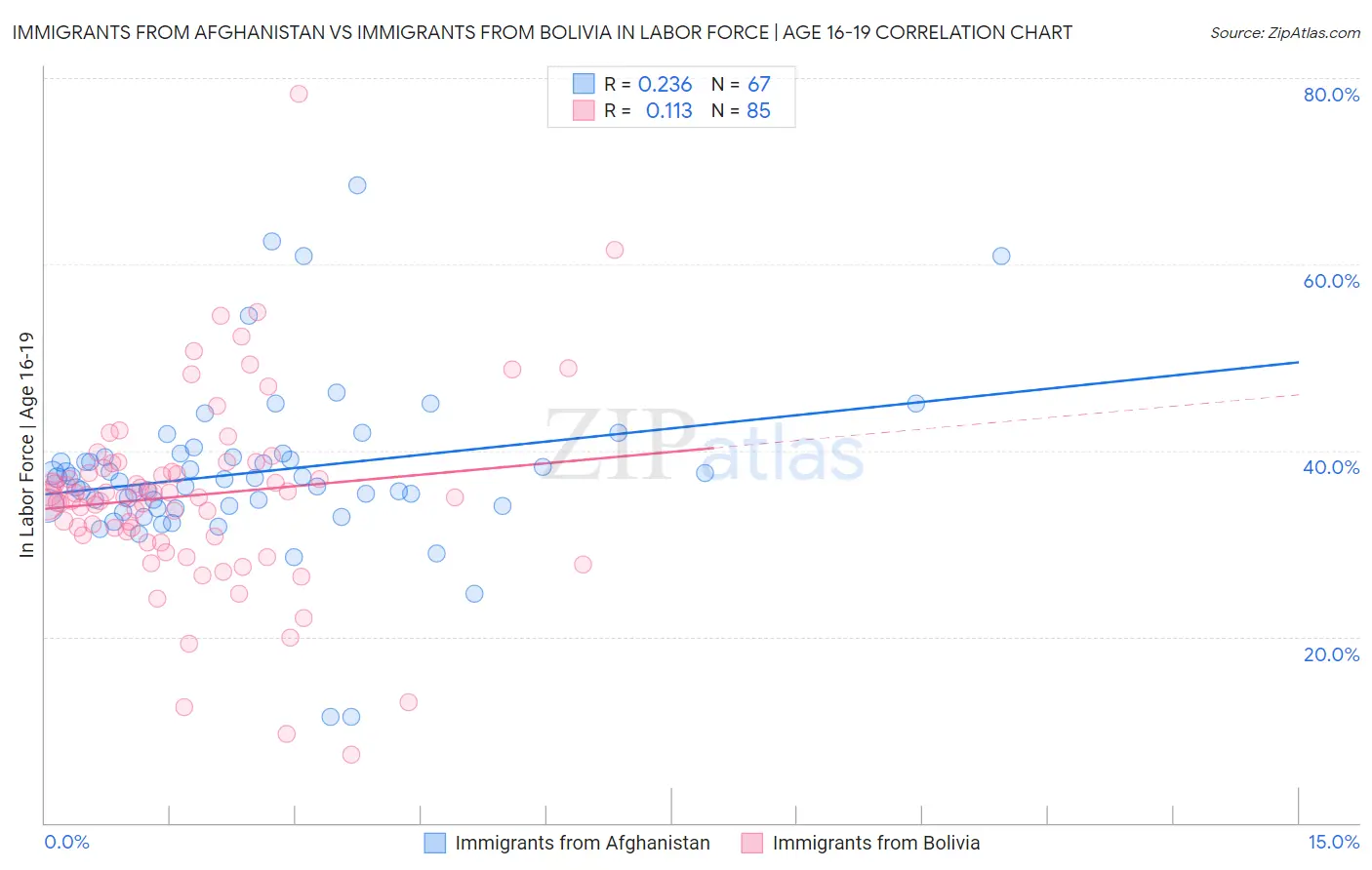 Immigrants from Afghanistan vs Immigrants from Bolivia In Labor Force | Age 16-19