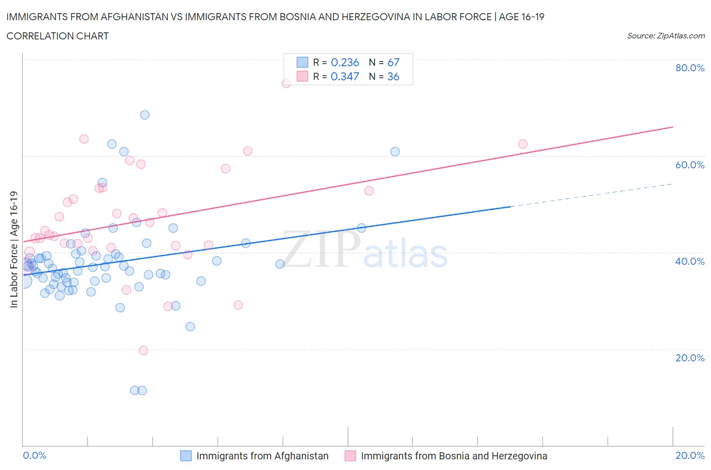 Immigrants from Afghanistan vs Immigrants from Bosnia and Herzegovina In Labor Force | Age 16-19