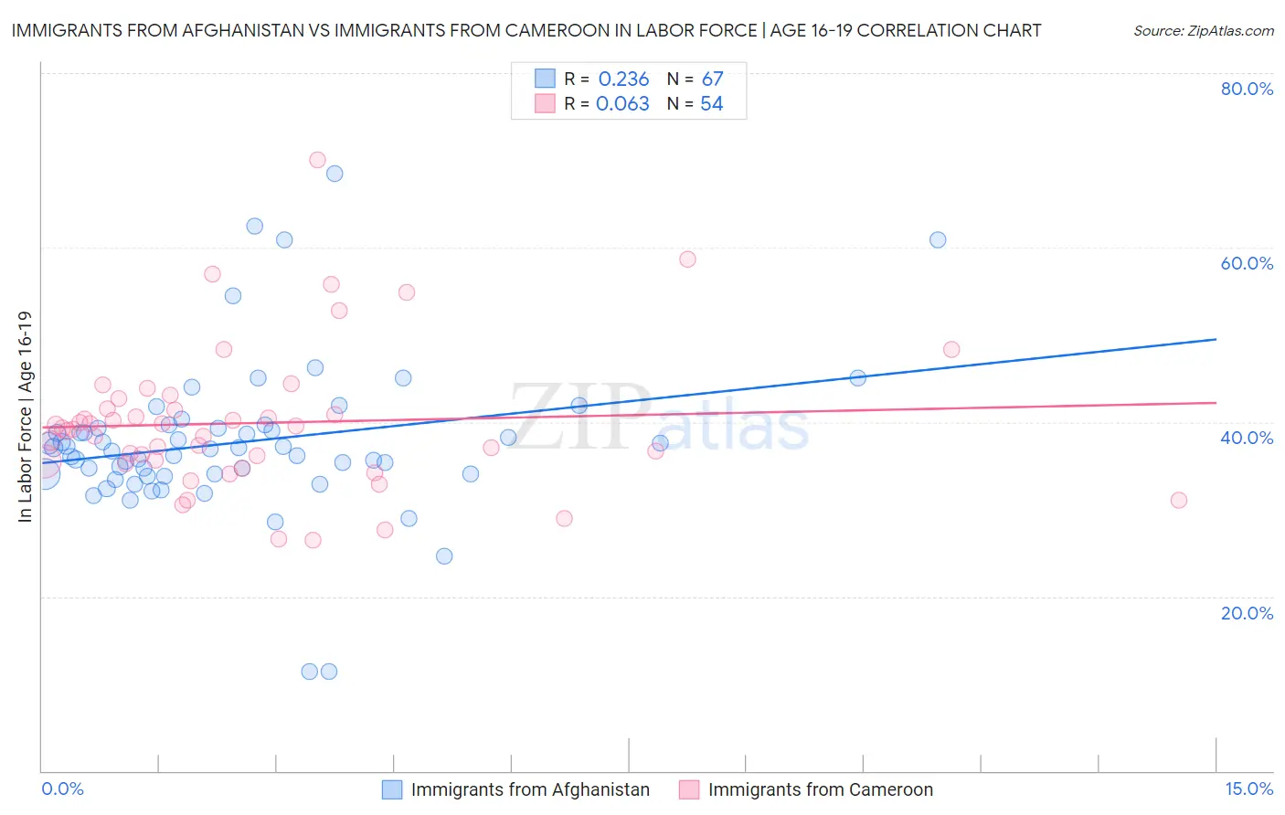 Immigrants from Afghanistan vs Immigrants from Cameroon In Labor Force | Age 16-19