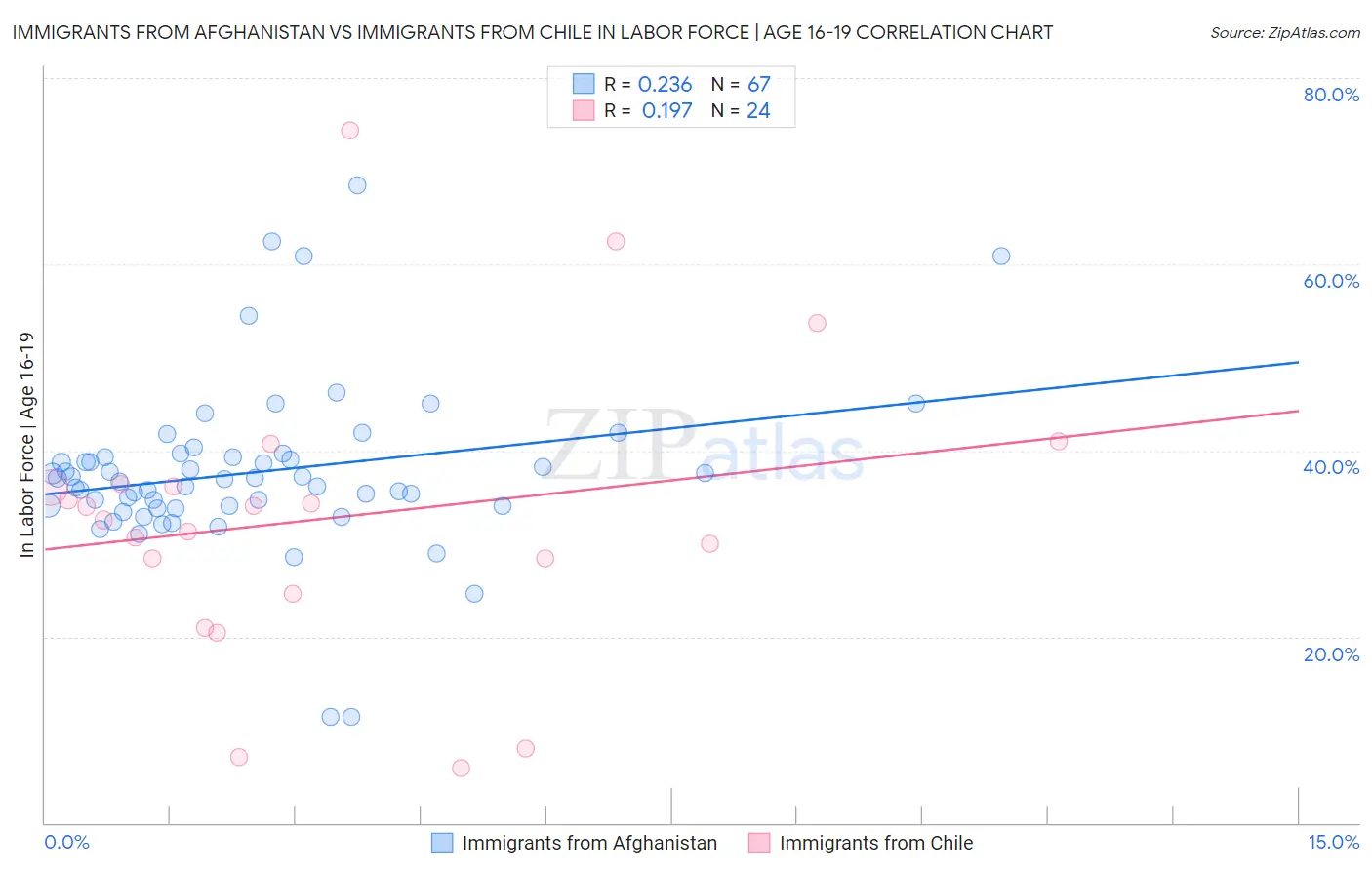 Immigrants from Afghanistan vs Immigrants from Chile In Labor Force | Age 16-19