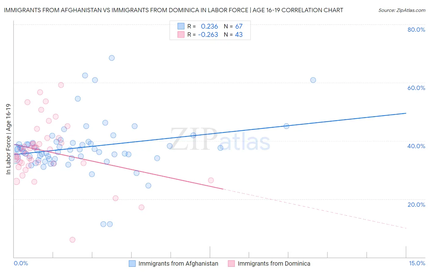 Immigrants from Afghanistan vs Immigrants from Dominica In Labor Force | Age 16-19