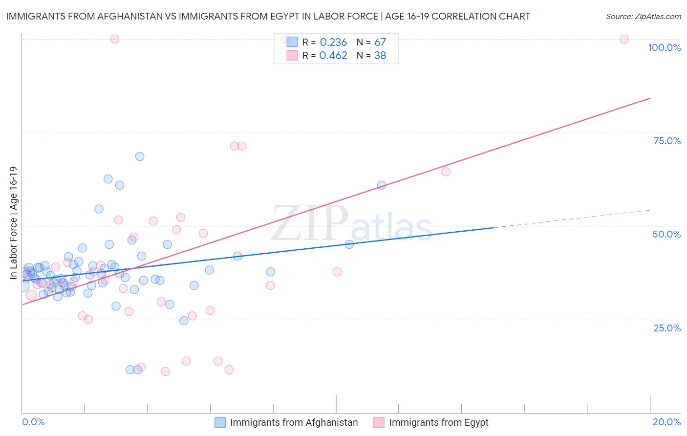 Immigrants from Afghanistan vs Immigrants from Egypt In Labor Force | Age 16-19