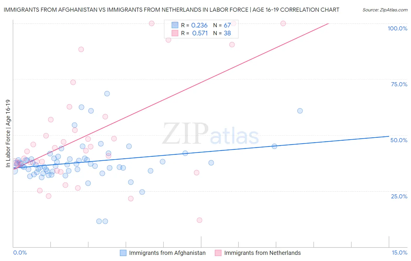 Immigrants from Afghanistan vs Immigrants from Netherlands In Labor Force | Age 16-19