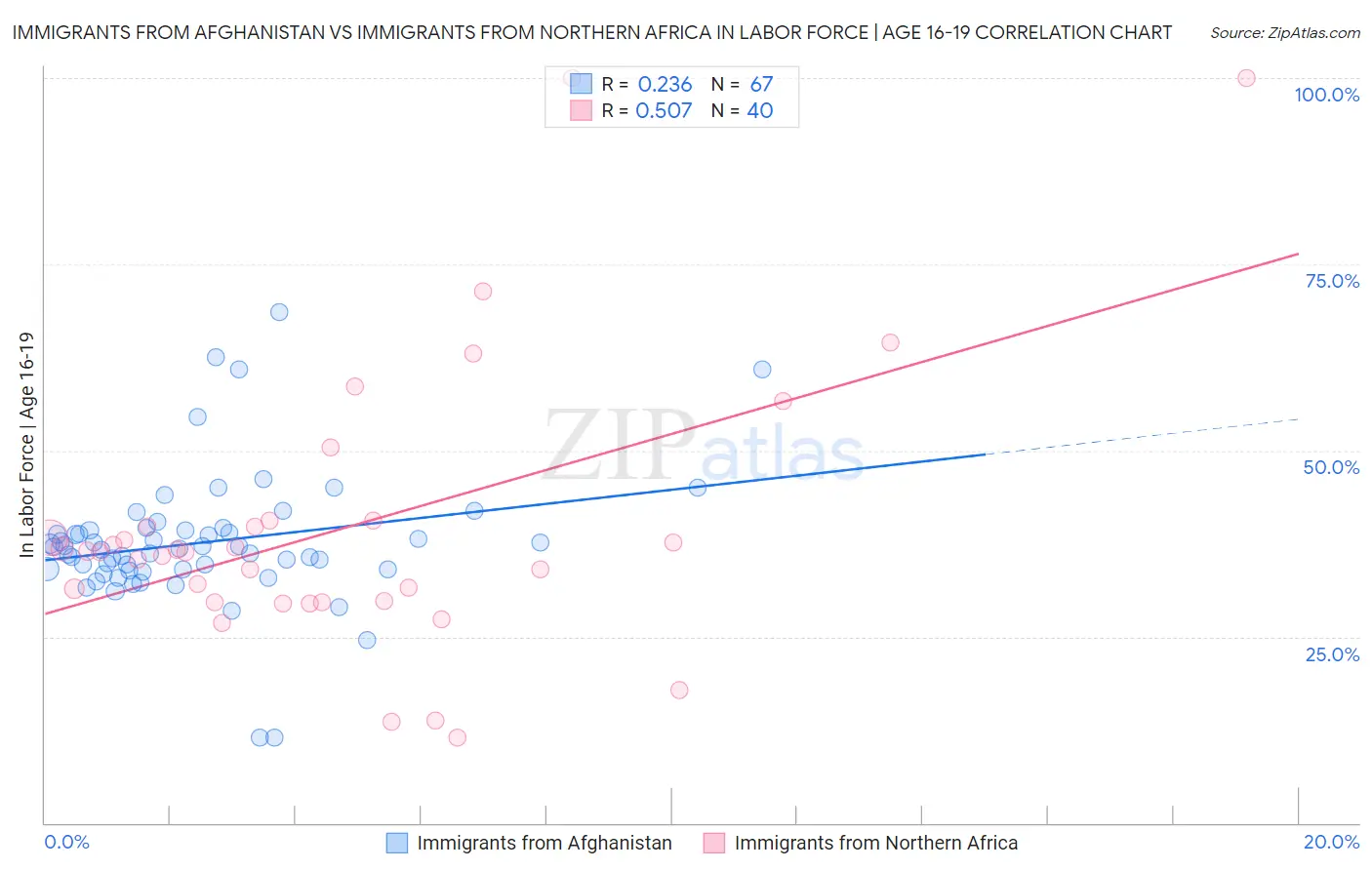 Immigrants from Afghanistan vs Immigrants from Northern Africa In Labor Force | Age 16-19