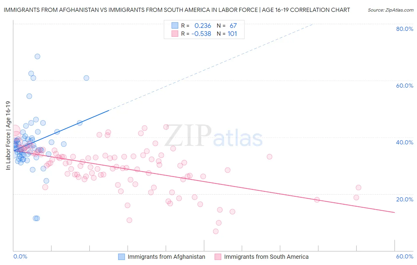 Immigrants from Afghanistan vs Immigrants from South America In Labor Force | Age 16-19