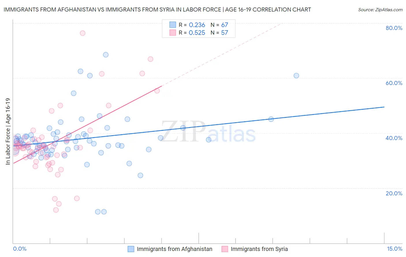 Immigrants from Afghanistan vs Immigrants from Syria In Labor Force | Age 16-19