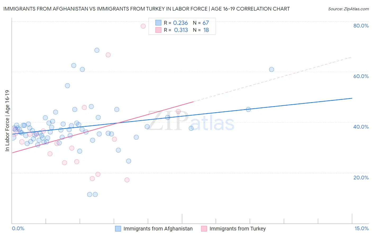 Immigrants from Afghanistan vs Immigrants from Turkey In Labor Force | Age 16-19