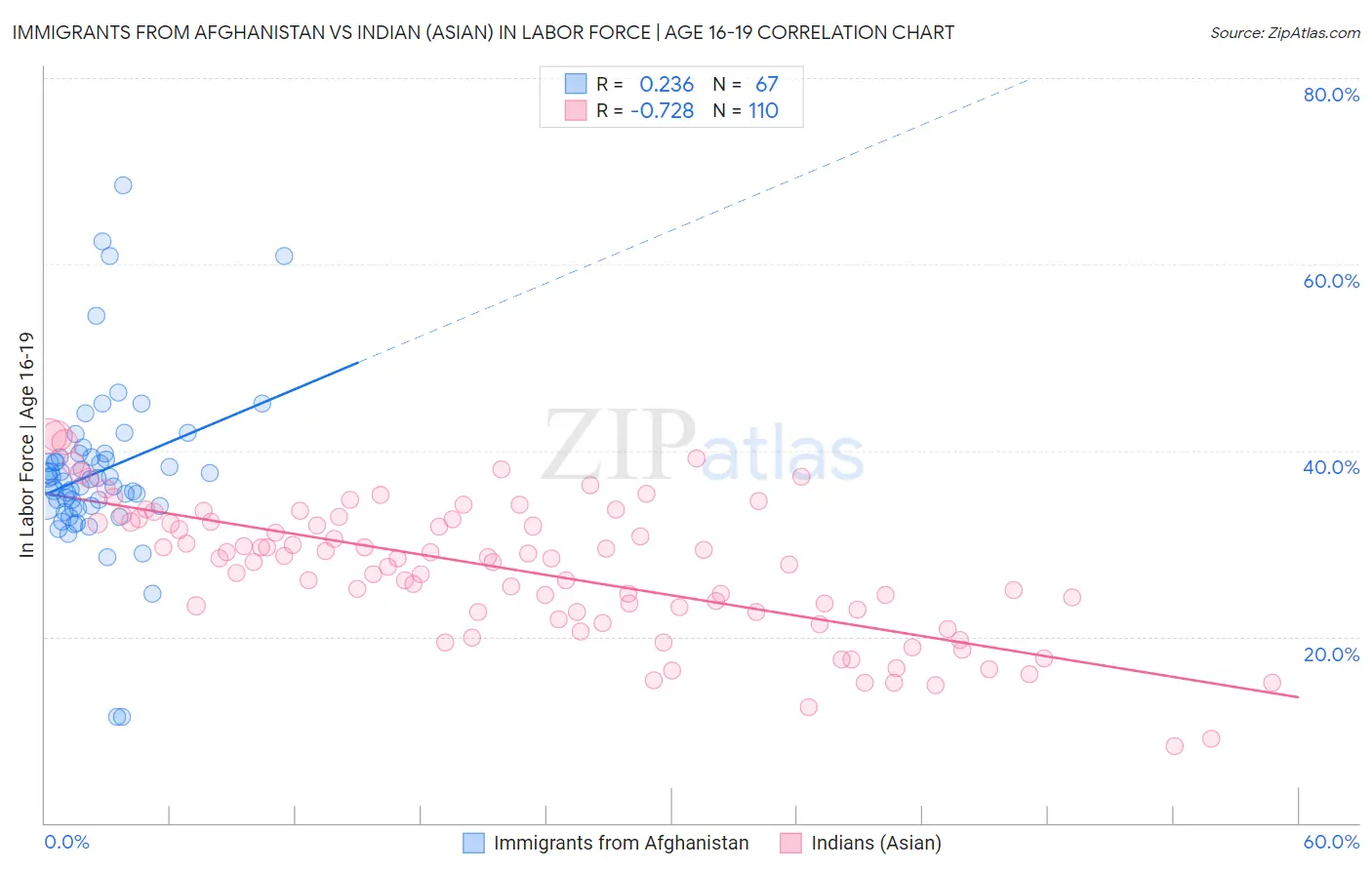 Immigrants from Afghanistan vs Indian (Asian) In Labor Force | Age 16-19