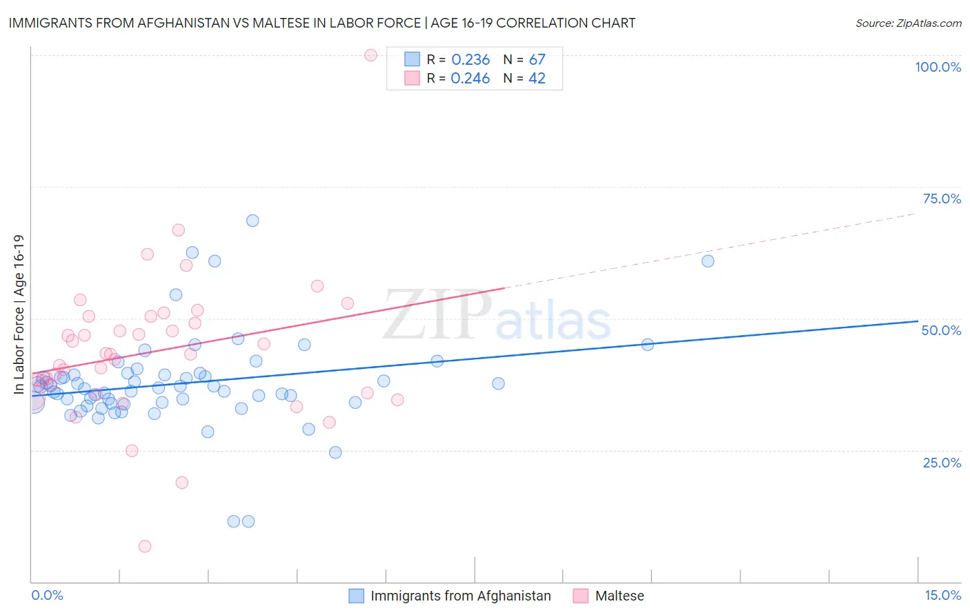 Immigrants from Afghanistan vs Maltese In Labor Force | Age 16-19