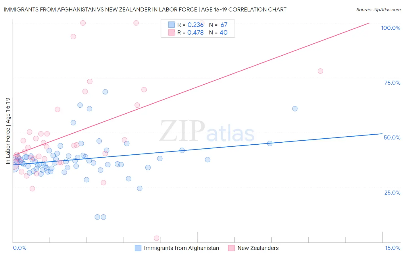 Immigrants from Afghanistan vs New Zealander In Labor Force | Age 16-19