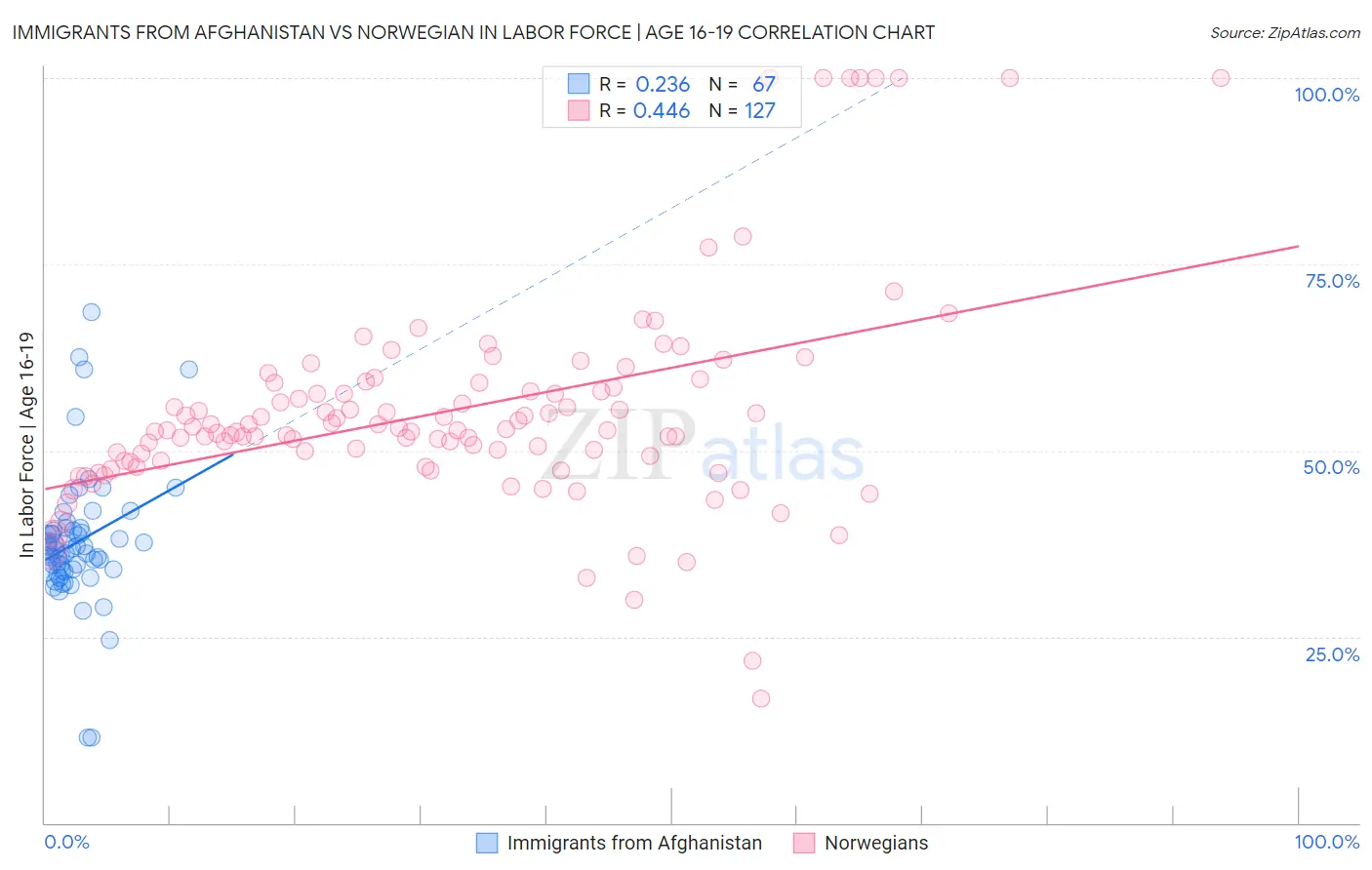 Immigrants from Afghanistan vs Norwegian In Labor Force | Age 16-19