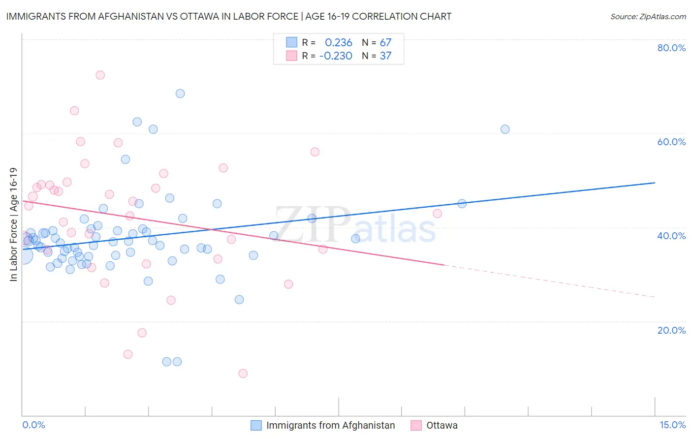 Immigrants from Afghanistan vs Ottawa In Labor Force | Age 16-19