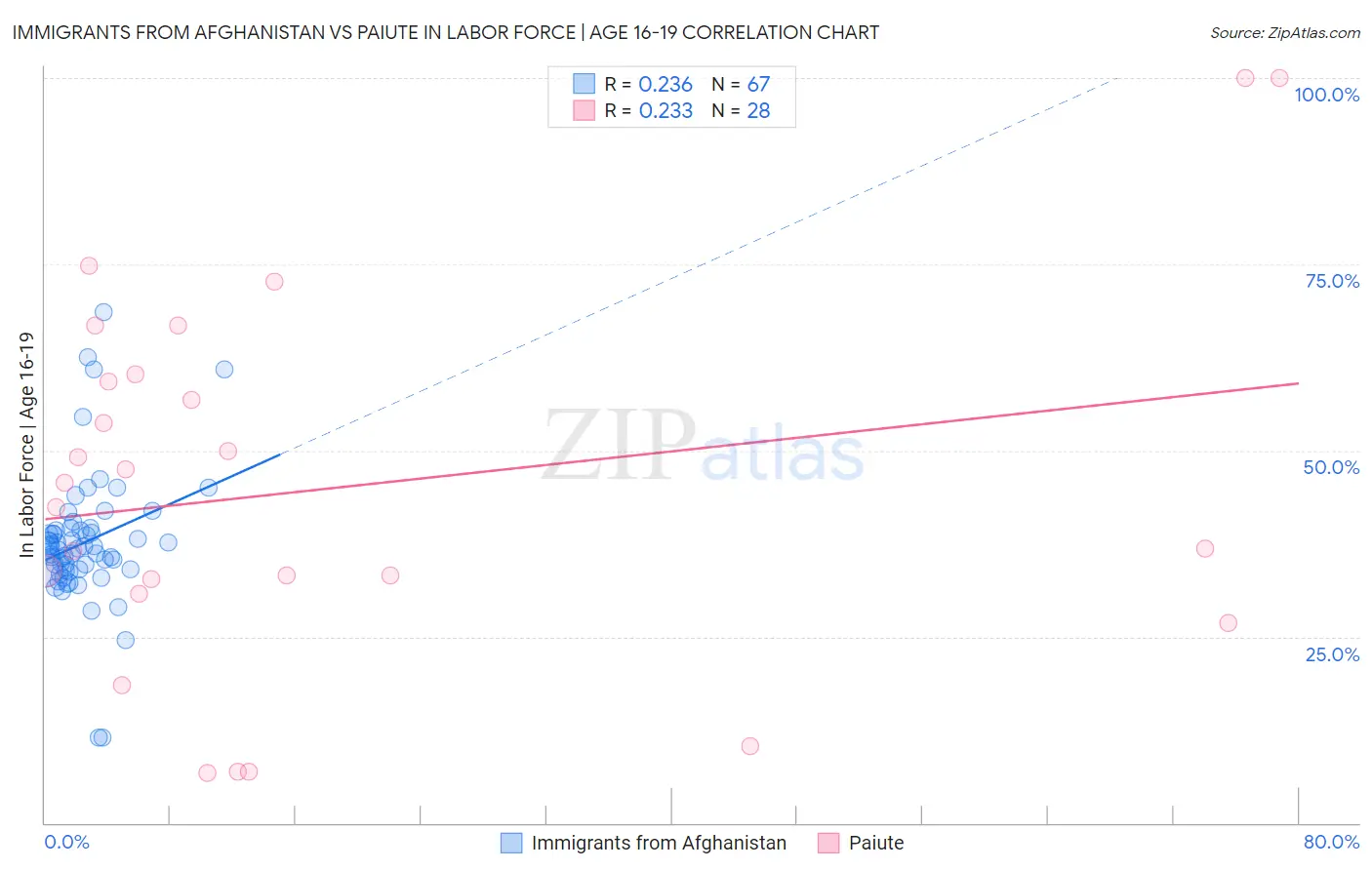 Immigrants from Afghanistan vs Paiute In Labor Force | Age 16-19