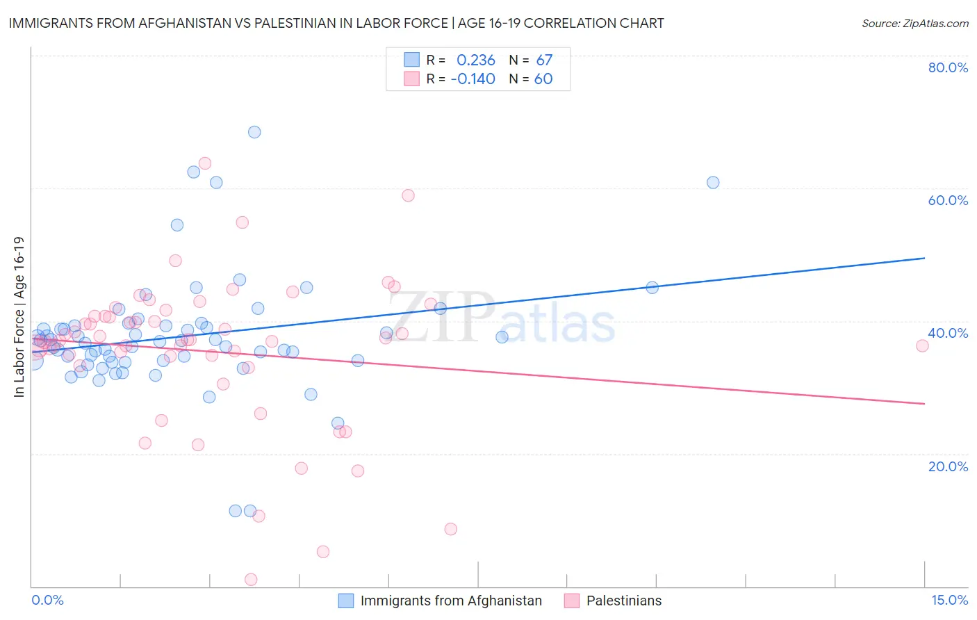 Immigrants from Afghanistan vs Palestinian In Labor Force | Age 16-19