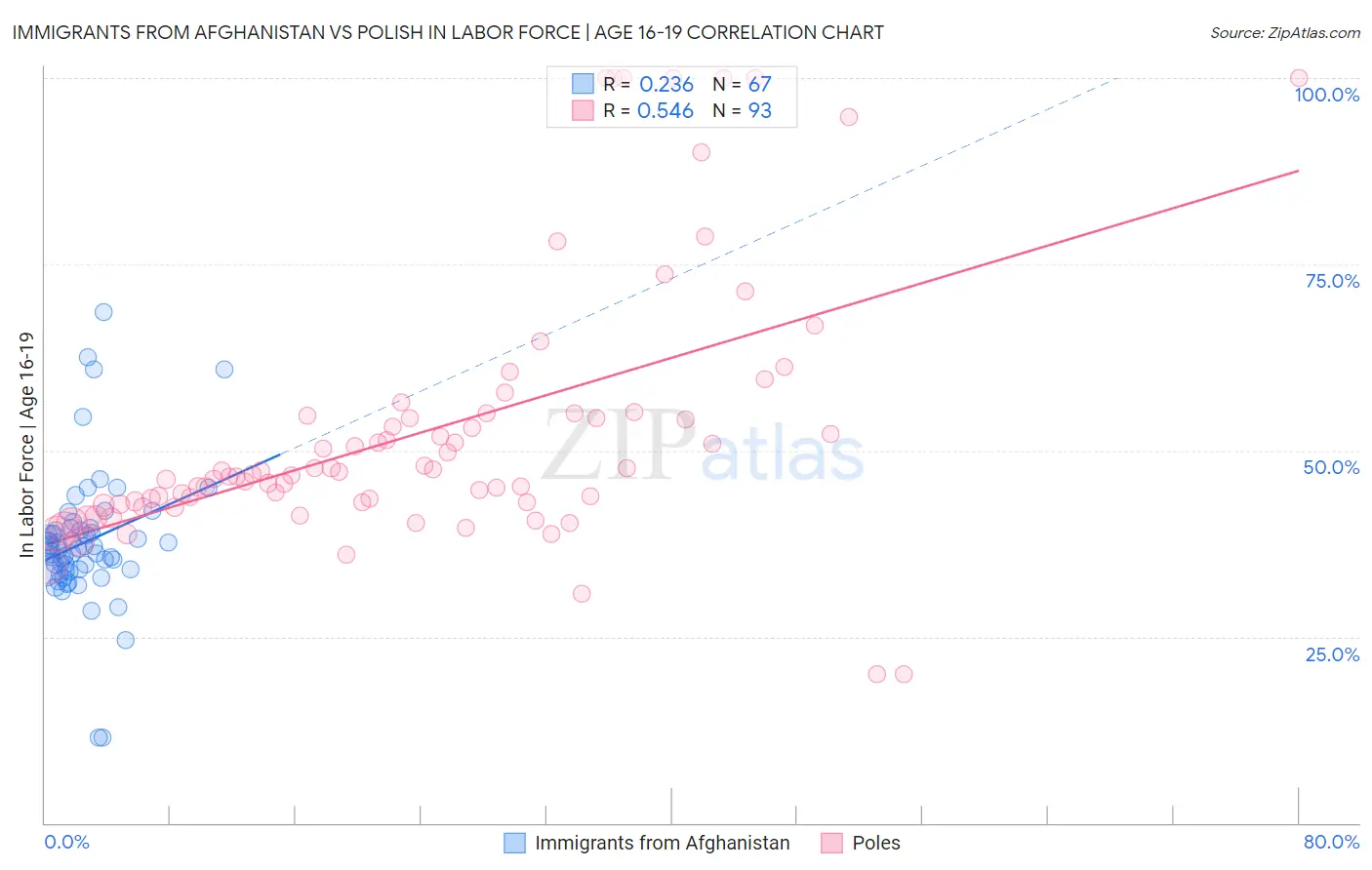 Immigrants from Afghanistan vs Polish In Labor Force | Age 16-19