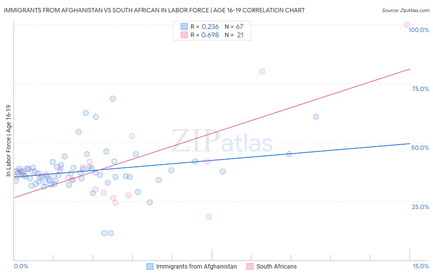 Immigrants from Afghanistan vs South African In Labor Force | Age 16-19