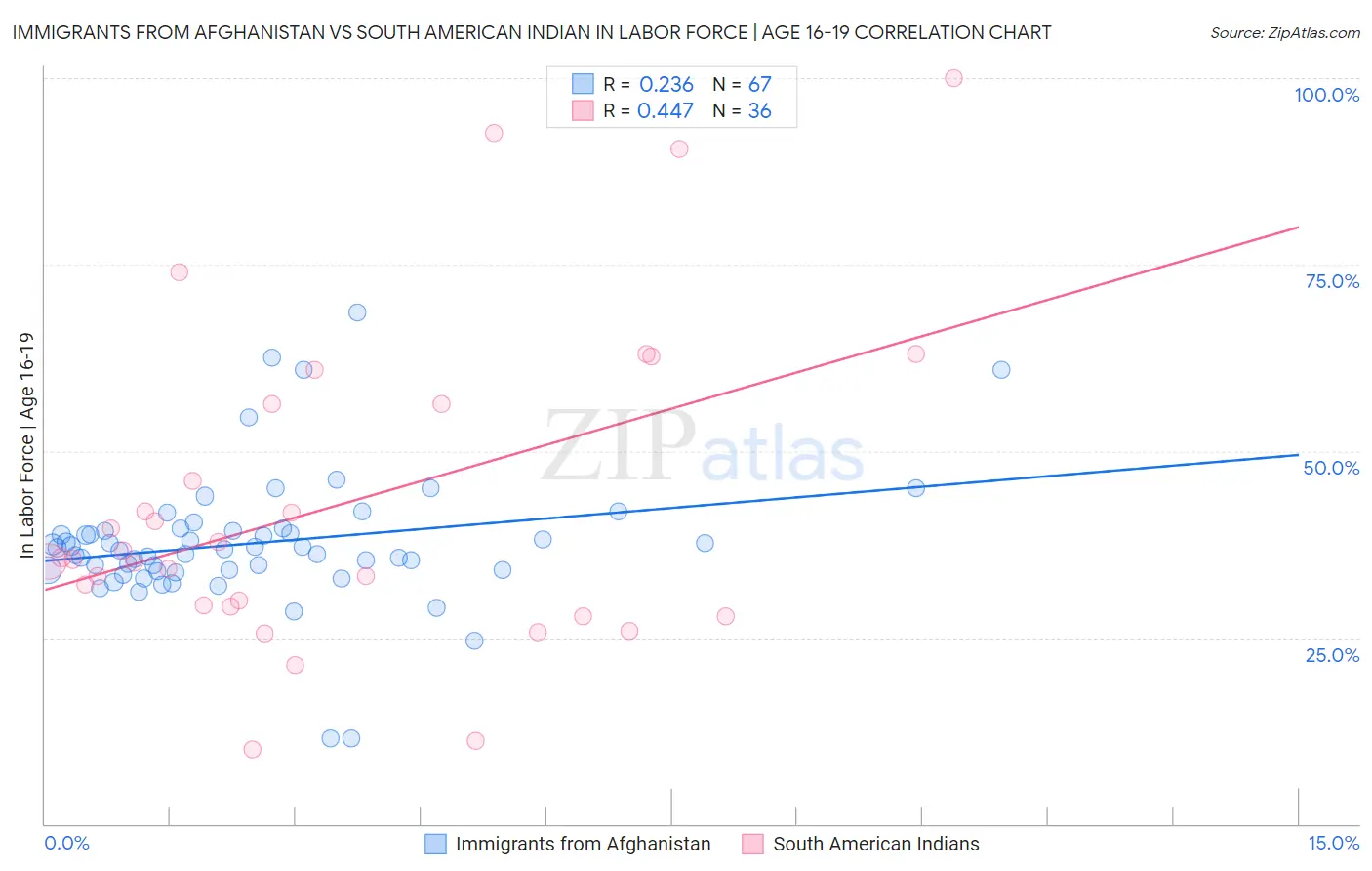 Immigrants from Afghanistan vs South American Indian In Labor Force | Age 16-19
