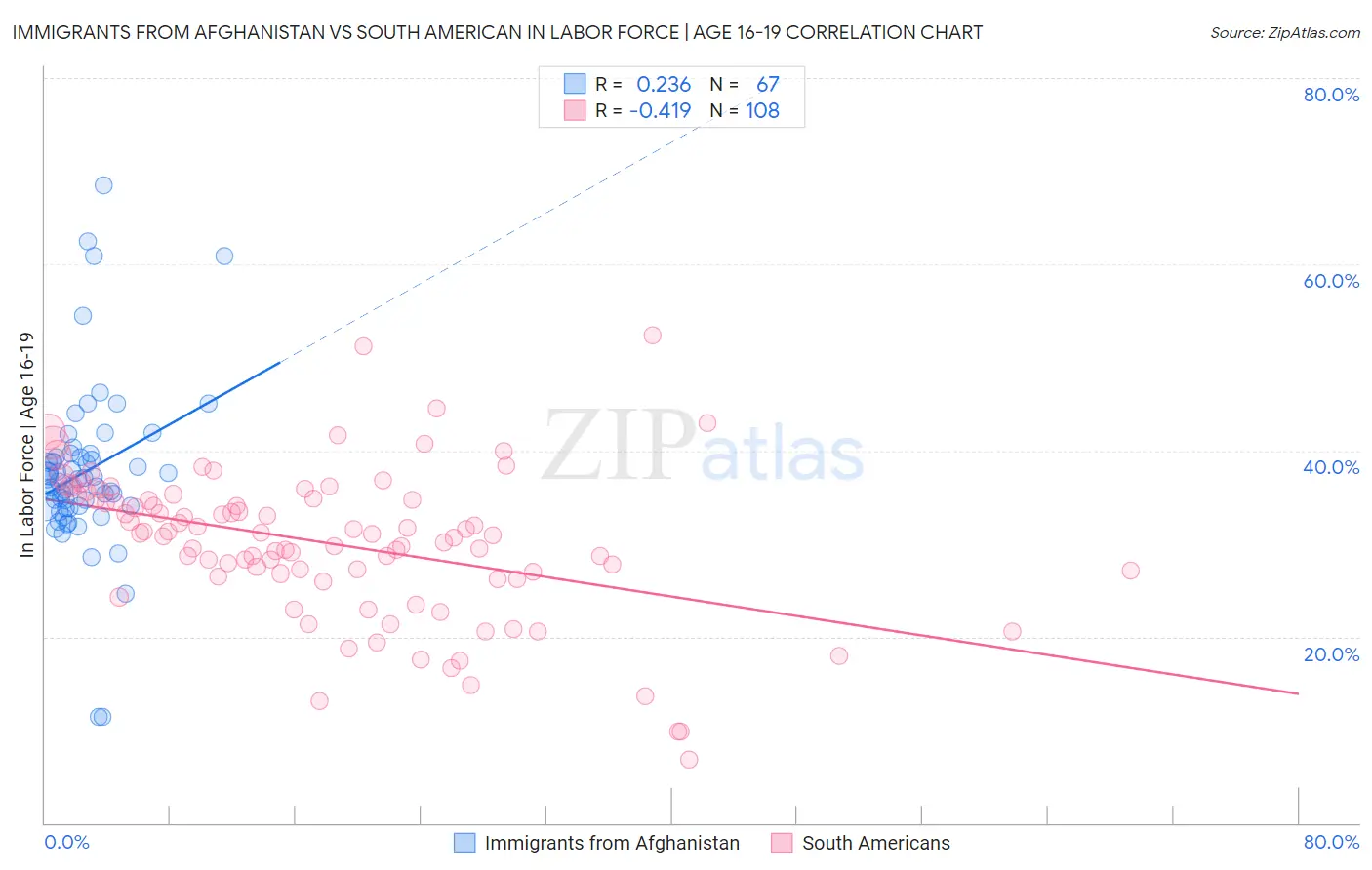 Immigrants from Afghanistan vs South American In Labor Force | Age 16-19