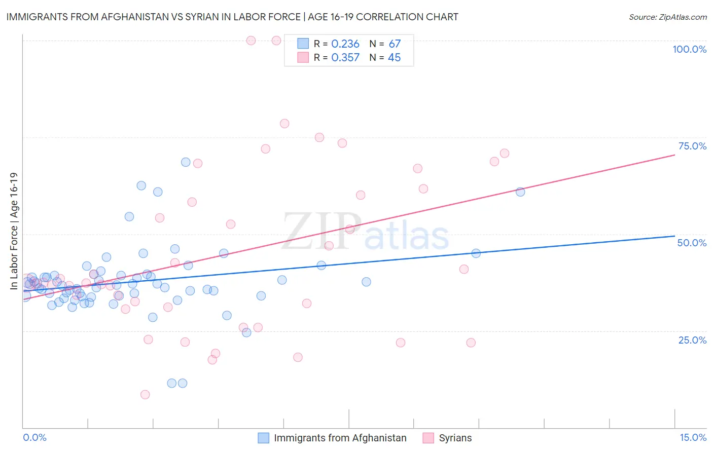 Immigrants from Afghanistan vs Syrian In Labor Force | Age 16-19