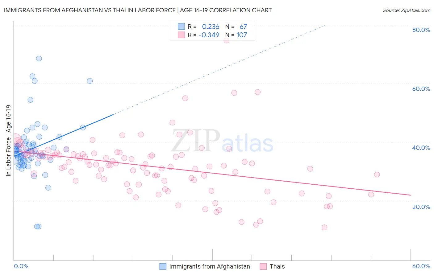 Immigrants from Afghanistan vs Thai In Labor Force | Age 16-19