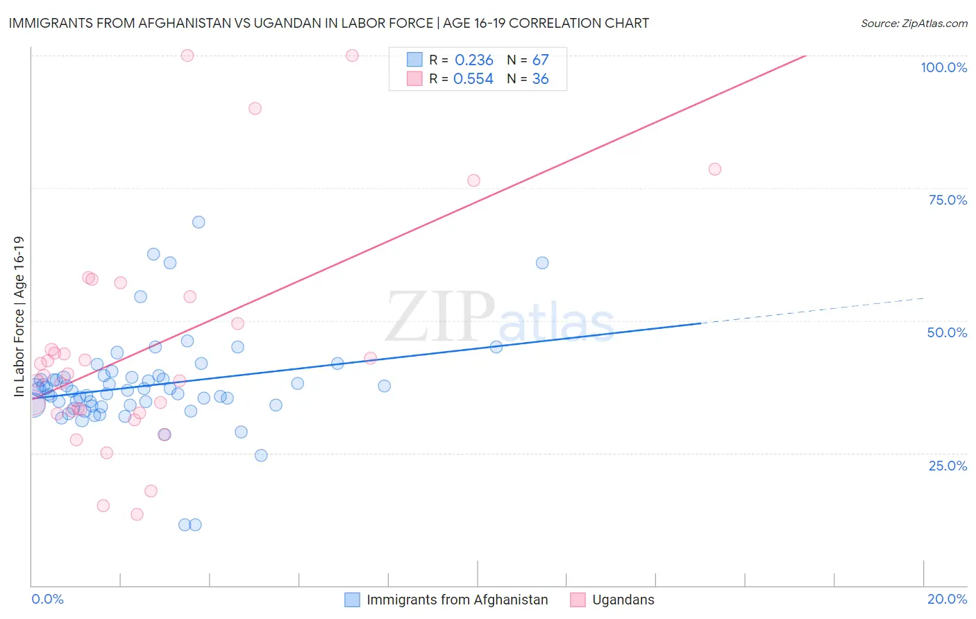 Immigrants from Afghanistan vs Ugandan In Labor Force | Age 16-19