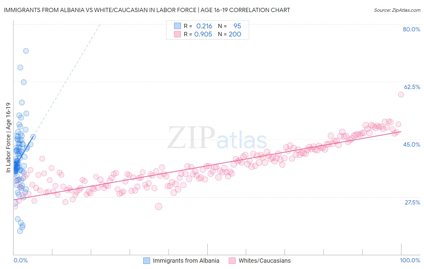 Immigrants from Albania vs White/Caucasian In Labor Force | Age 16-19