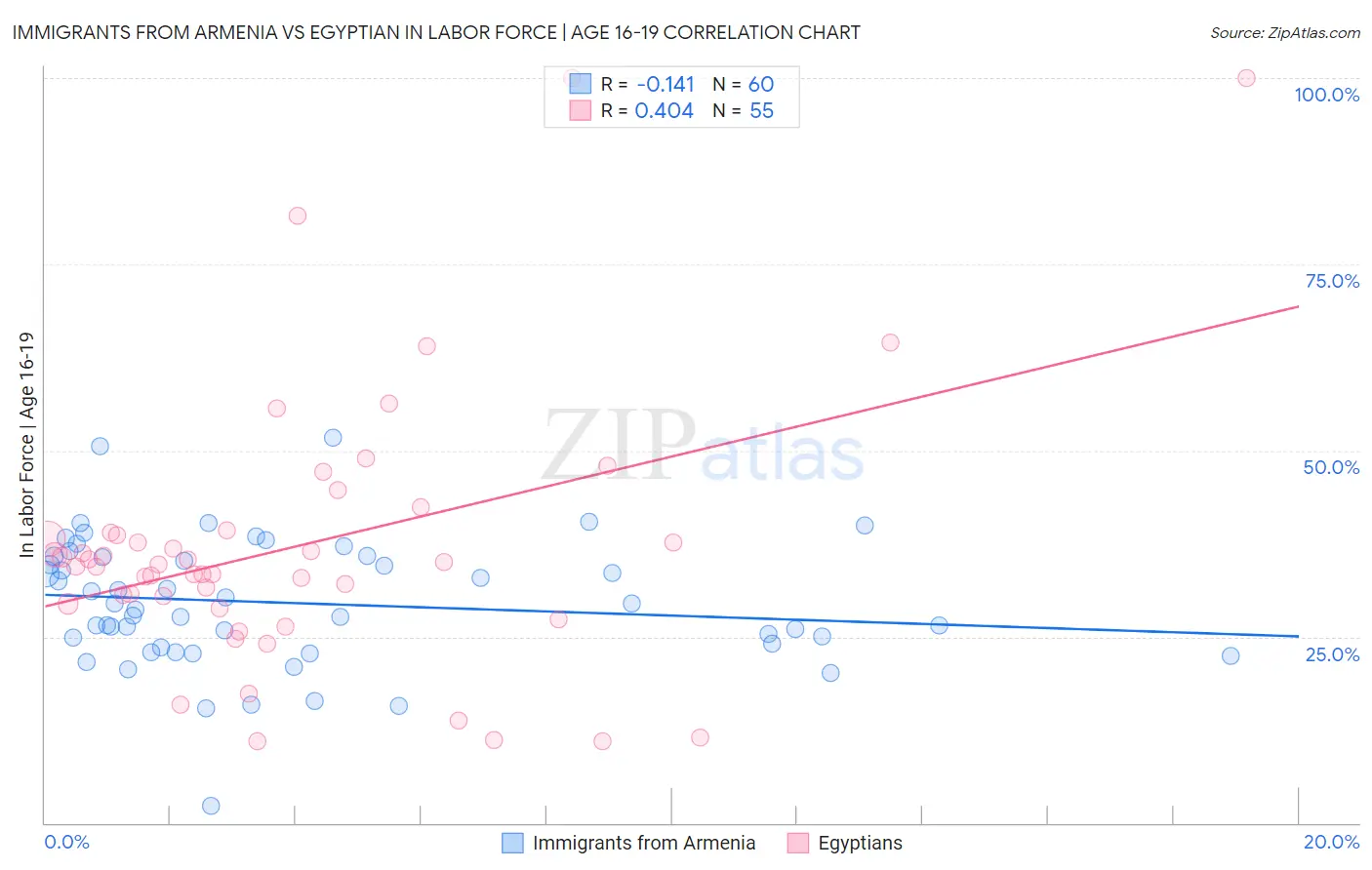 Immigrants from Armenia vs Egyptian In Labor Force | Age 16-19