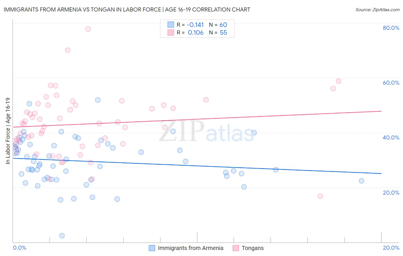 Immigrants from Armenia vs Tongan In Labor Force | Age 16-19