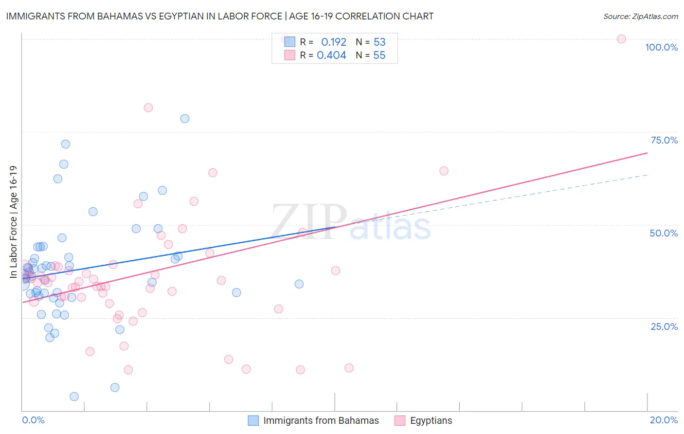 Immigrants from Bahamas vs Egyptian In Labor Force | Age 16-19
