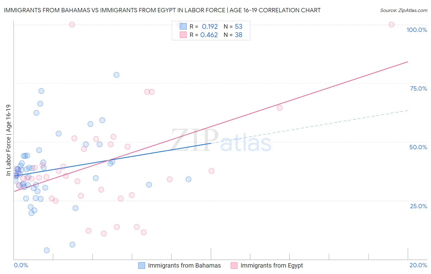 Immigrants from Bahamas vs Immigrants from Egypt In Labor Force | Age 16-19